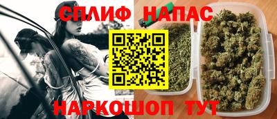 индика Гусев