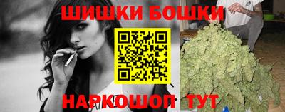 индика Гусев