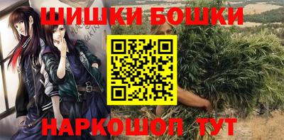 индика Гусев