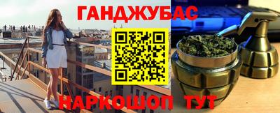 индика Гусев