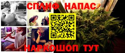 индика Гусев