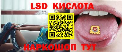 индика Гусев