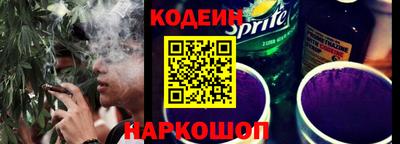 индика Гусев
