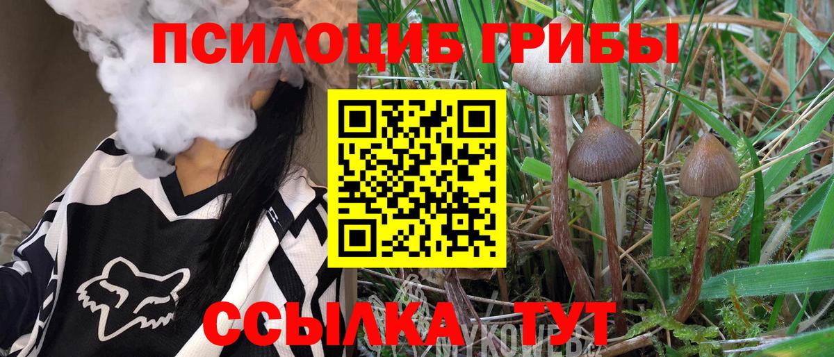 Нижнеудинск  Псилоцибиновые грибы GOLDEN TEACHER  цена наркотик  Вход с VPN 