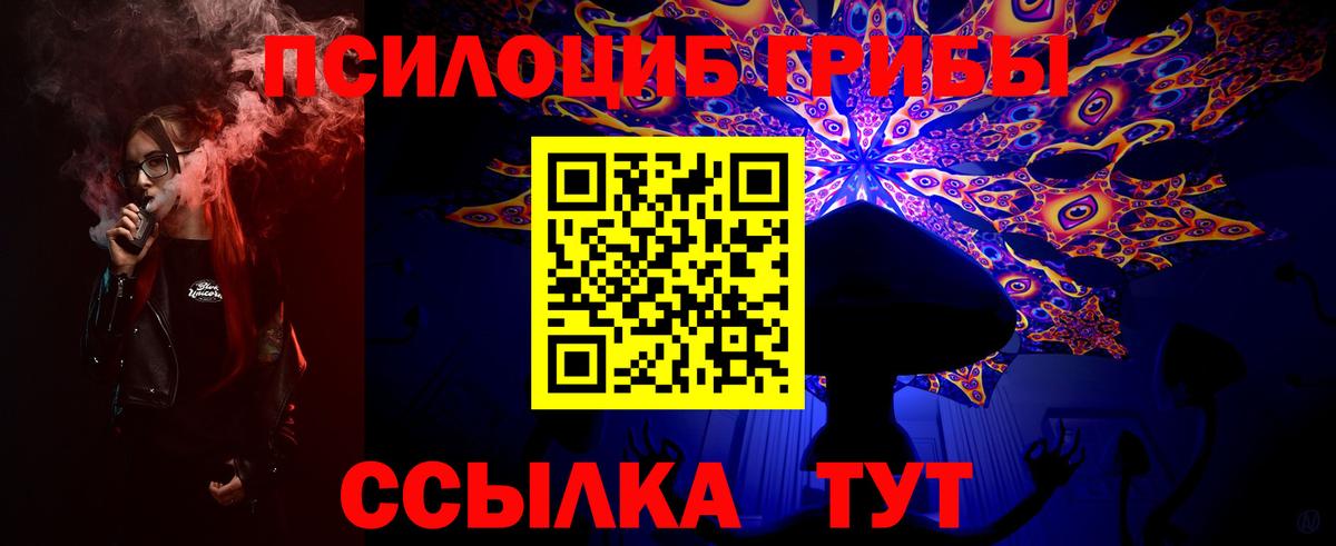 Псилоцибиновые грибы мицелий Нижнеудинск